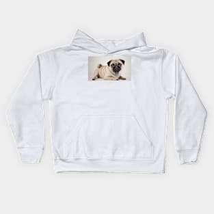 Pug Dog Kids Hoodie